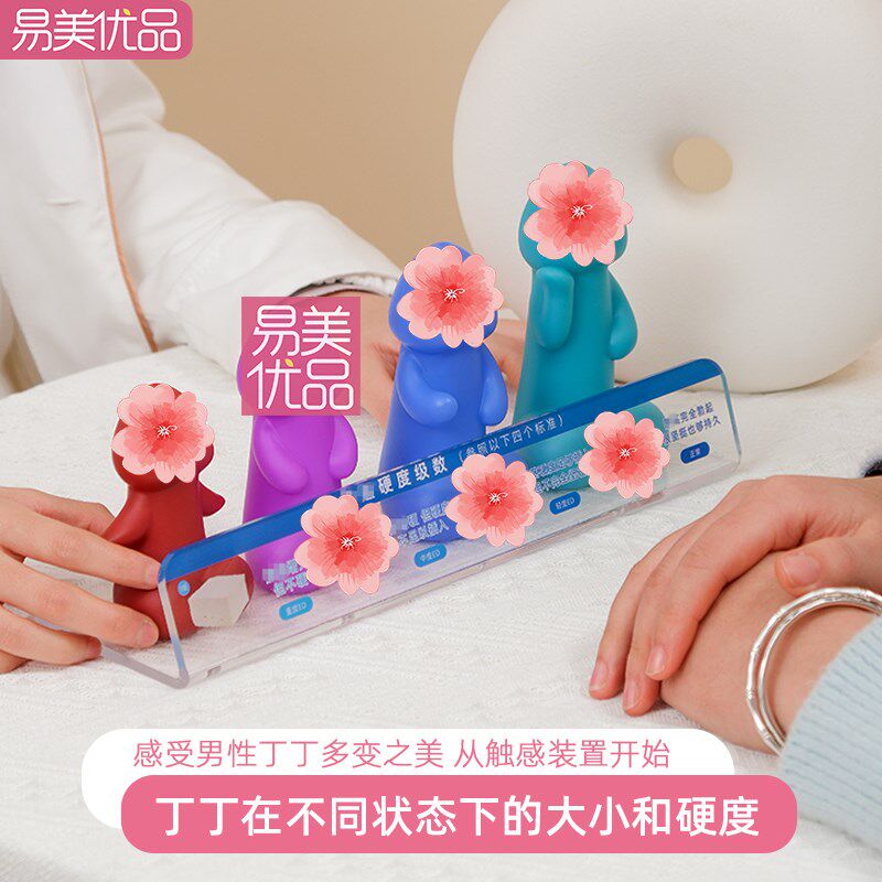 男性丁丁软硬大小程度科普模型一触究竟医学科普性功能辅助用具