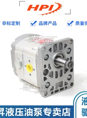 法国HPI齿轮油泵M3BAN3040HL10B03N 3025 3031 3050 3060液压马达