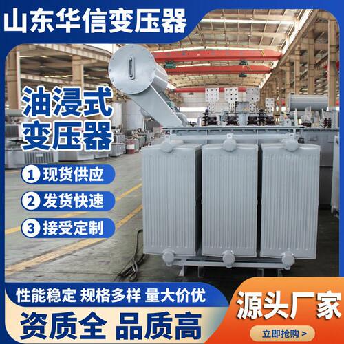 S22 -250KVA/10KV油浸式变压器