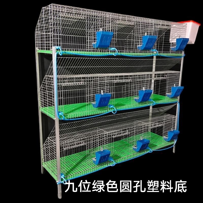 兔笼兔子笼子免清粪兔子专用笼兔笼子大型养殖场母兔特大号繁殖笼