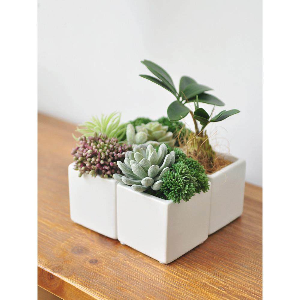 九思 彷真多肉盆栽假绿植 装饰品摆件小型彷生植物桌面盆景art007,家居饰品,仿真植物盆景,淘宝优惠券,粉丝福利购,淘宝优惠卷