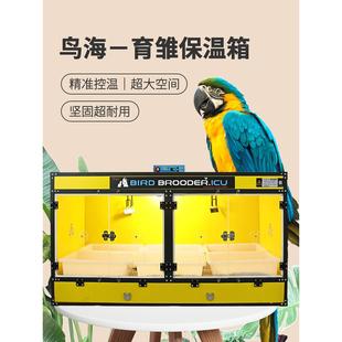 AODL黄小姐鹦鹉恒温保温箱双温控鹦鹉幼鸟专用育雏箱养殖场专用
