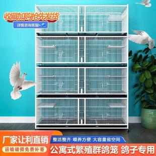 寶籠帶食槽防老鼠家用種鴿配對籠 鴿子籠大型養(yǎng)殖籠加密三層信鴿元