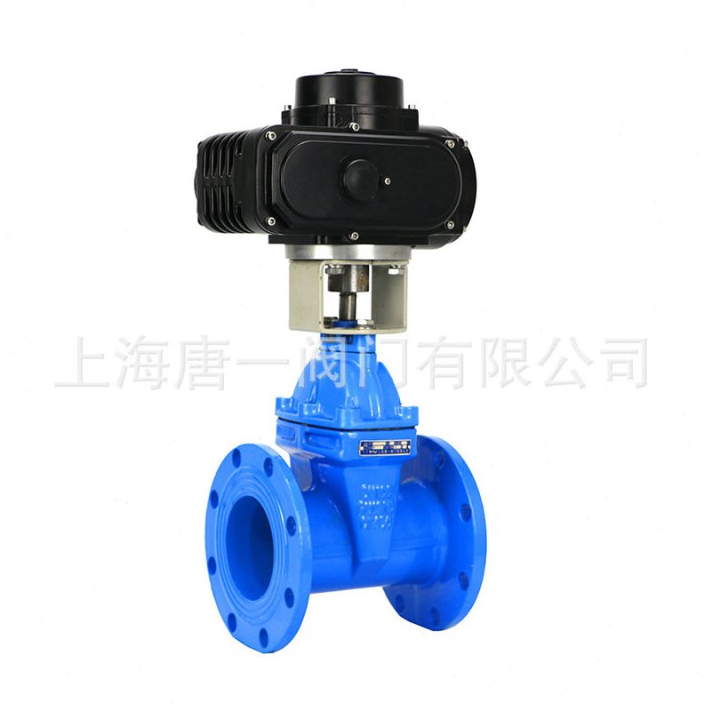 直销软密封电动闸阀Z945X-10Q/16Q 球磨铸铁闸阀RAVX法兰闸阀dn50