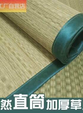 灯草席子 夏季天然芦苇草编r直筒式学生宿舍凉席0.91.21.51.8双人