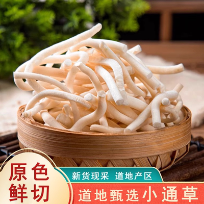 精选新货中药材小通草500g克中草药通草无硫无添加
