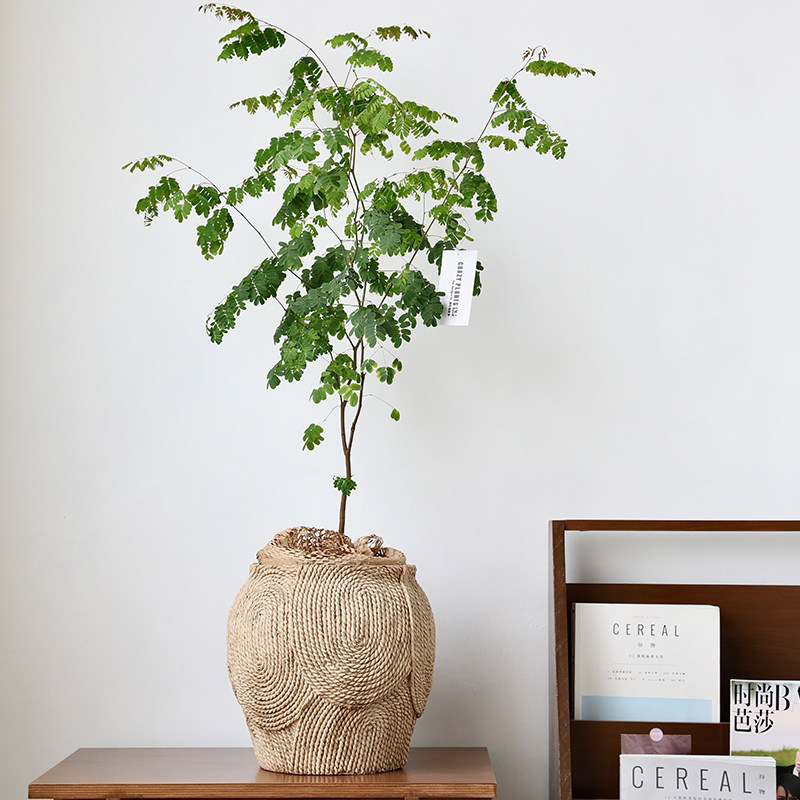 创意仿编织花盆麻绳纹理蒲草藤编