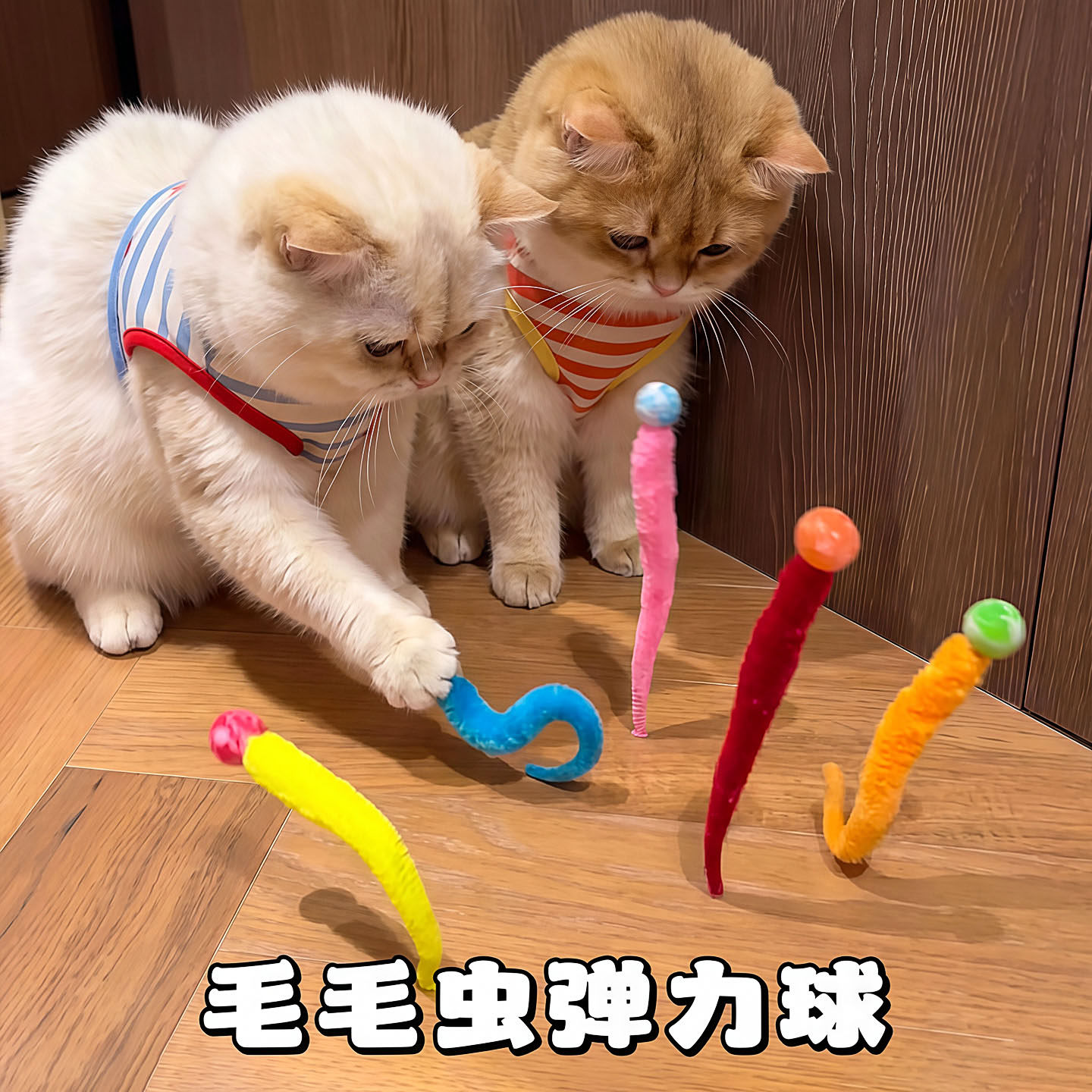 猫玩具逗猫棒自嗨解闷逗猫神器毛毛虫弹力球幼猫玩具互动猫咪用品