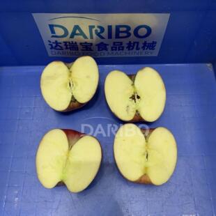 L农产品开半机器商用机全不锈钢 果蔬切半机器大产量蔬菜加工产线