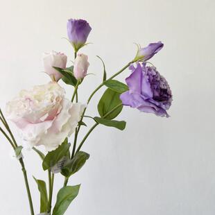 高端彷真花洋桔梗 高档花材 香槟粉桔梗 新娘手捧花配 婚礼装饰花