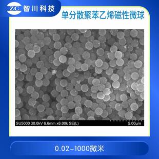 单分散聚苯乙烯磁性微球 ps微米/纳米磁珠 羧基化生物磁珠