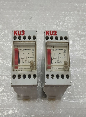 DoldAI838/66Relay0022394250VACLOTOF2UNIT