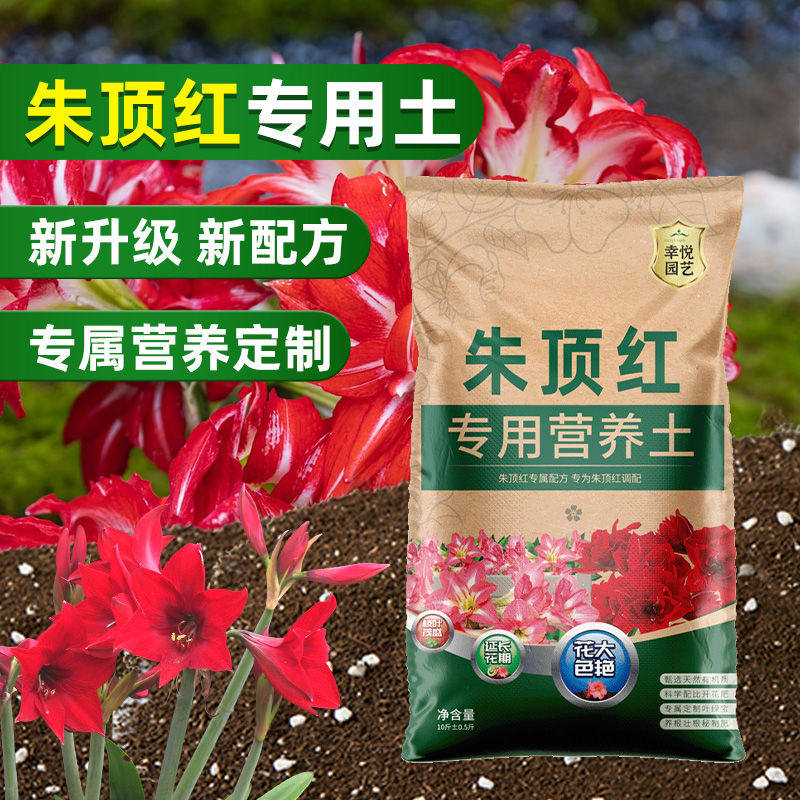 种朱顶红专用土营养土球根种球专用土花土壤专用肥料泥土种植土