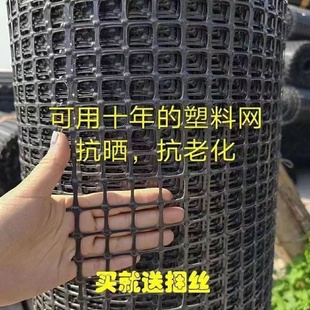 养殖围栏网塑料网防护果园鱼塘菜园拦鸡鸭家用户外玉米网防鸟围栏