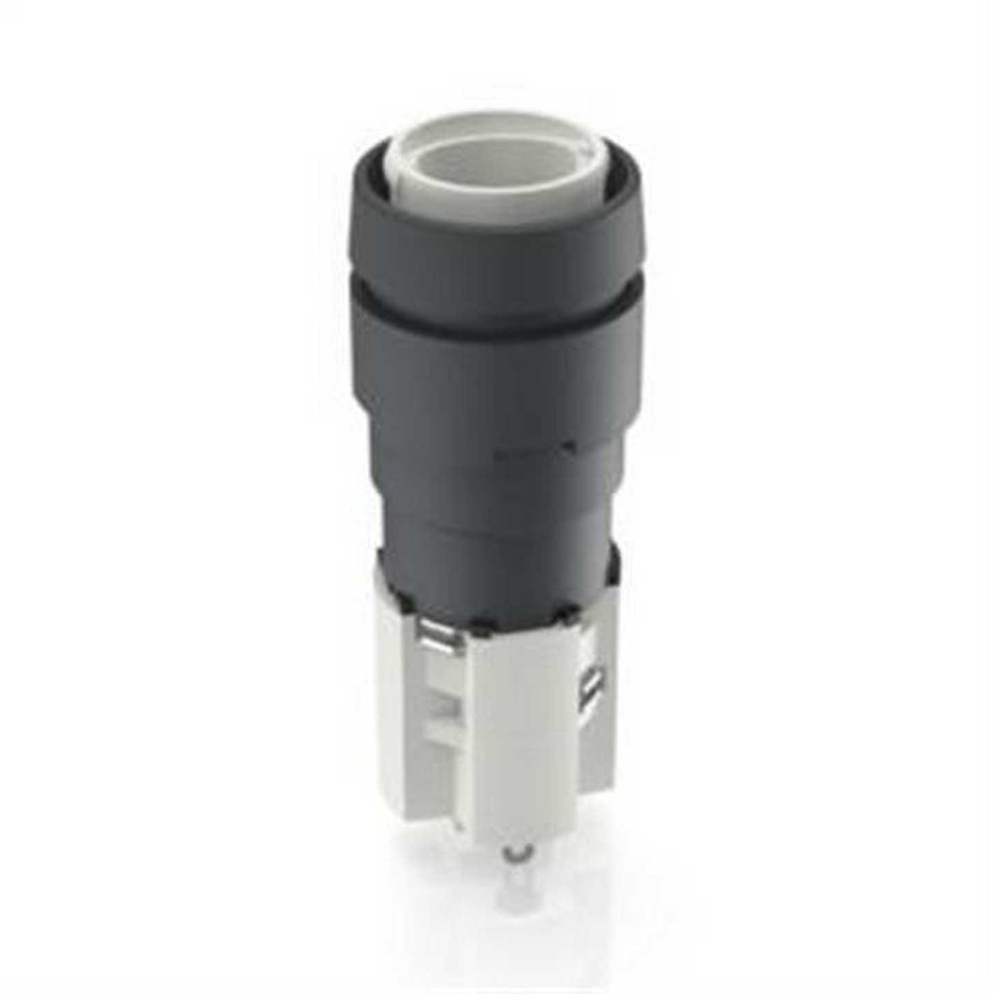 德国RAFI一体式按钮1.11.011.801/0300RAMO30TM1D2