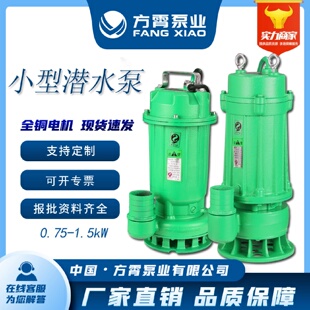 市场型小型污泵家用潜污泵潜水排污泵污水提升泵220V人民污水泵