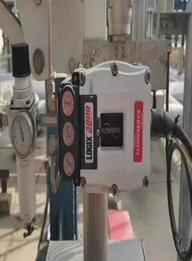 Flowserve3821-28EA-D43L-0010-（零零电子）