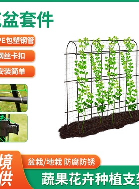 植物爬藤架月季花架黄瓜豆角种菜支架户外阳台花攀爬架苗木支撑杆