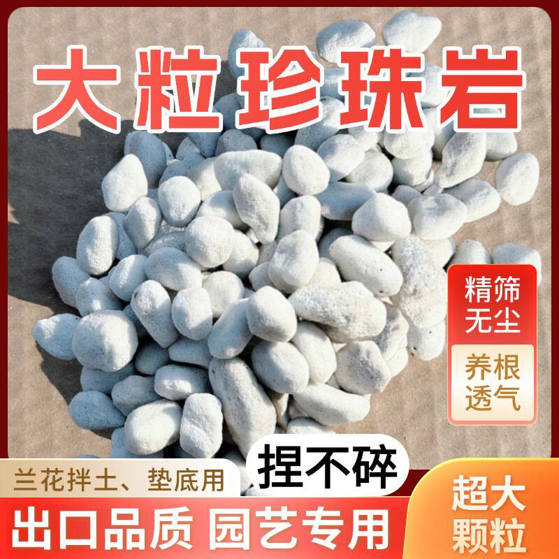 大粒珍珠岩养花颗粒硬质兰花专用月季石斛营养土拌土透气大号