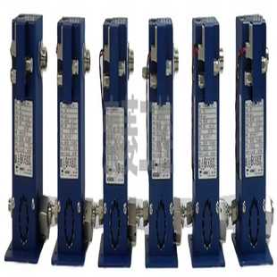 EVD液体质 议价商品 F404M HORIBASTECLF