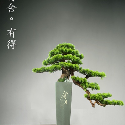 仿真迎客松美人松盆景植物松树景观造景装饰罗汉松室内客厅摆件
