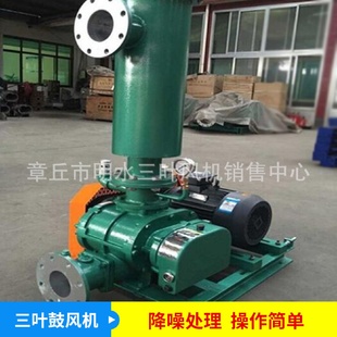 厂家配套高压SWR50型号罗茨鼓风机水处理风机噪音低三叶罗茨风机