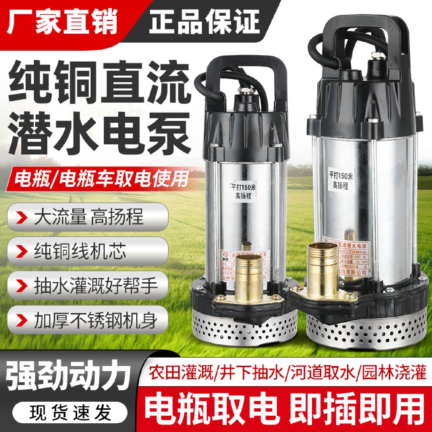 电动车专用抽水泵家用浇菜12V24V48V60V72伏纯铜电机直流潜水泵