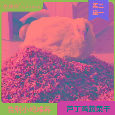 芦丁鸡蔬菜干饲料宠物专用小鸡鹌鹑鹦鹉零食卢丁食物粮食鸡粮