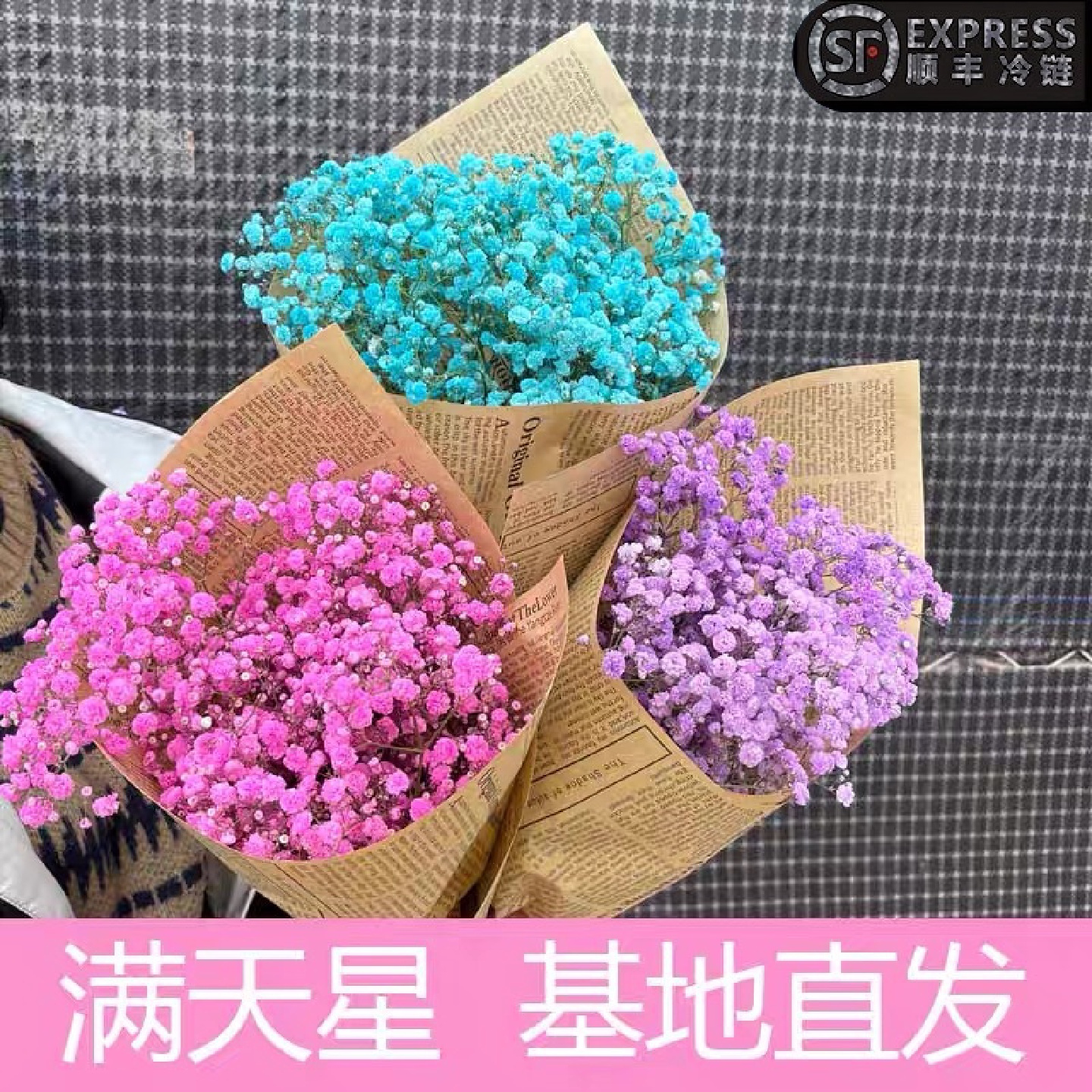 满天星鲜花干花云南昆明基地直发鲜花染色花配叶花店摆摊直供