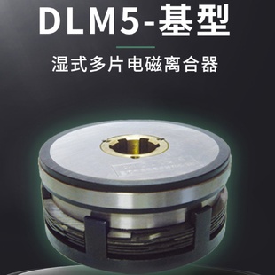 离合器烟斗电刷DC24V DLM5 100型 100A型湿式 多片电磁离合器