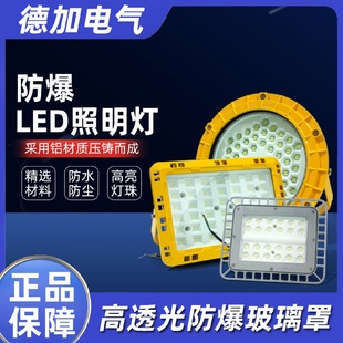 LED防爆照明灯应急灯钢化玻璃透镜灯工厂矿道仓库车间照明灯