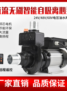 直流无刷自吸离心泵24V48V60伏电车抽水机农用大流量洒水车电泵