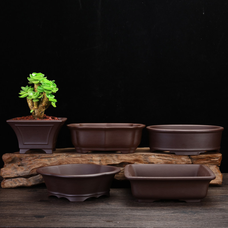 紫砂花盆创意陶瓷精品小号长方形桌面四方多肉老桩盆景盆文竹包邮,童装/婴儿装/亲子装,儿童装饰手表,淘宝优惠券,粉丝福利购,淘宝优惠卷