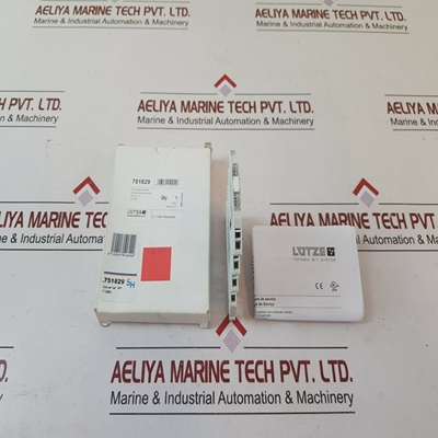 Lutze751829wpt7-1829temperatureconverterpt100