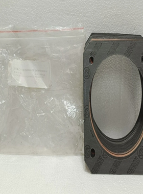 批量41件TEADIT垫圈PEGNAPW100空气压缩机气缸衬里P/N