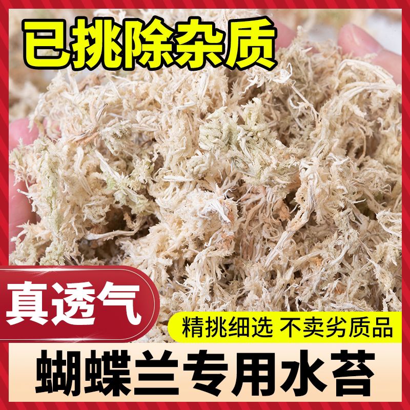 水苔干水苔蝴蝶兰专用土兰花铺面种植苔藓石斛食虫植物爬宠垫材