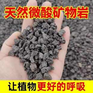 微酸矿物岩颗粒土养花专用小石子多肉兰花铺面黑色火山石底砂酸性