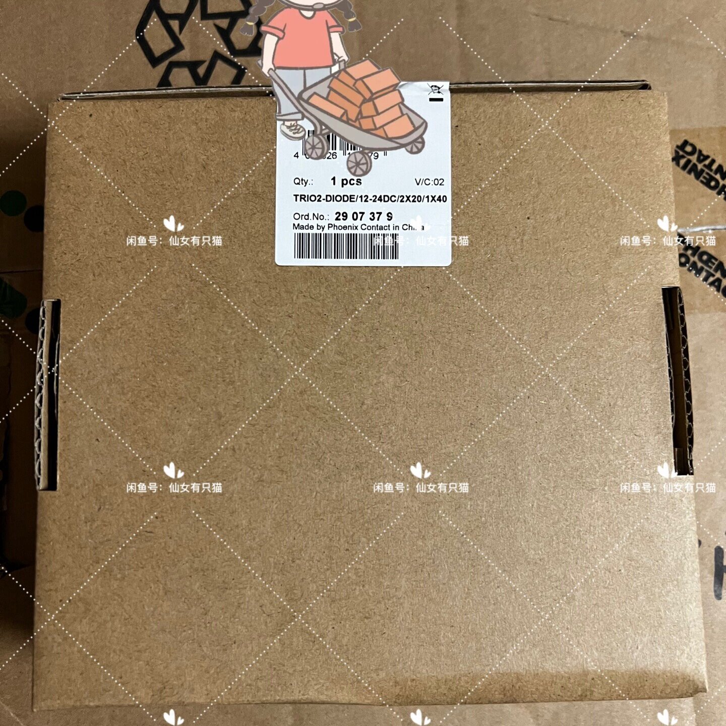 2907379 TRIO2DIODE1224DC2X-询 - 实物图