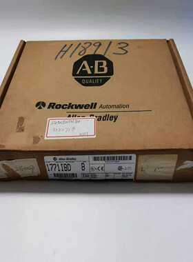 AB罗克韦尔PLC输入模块1771-IBDB版本--议价商品