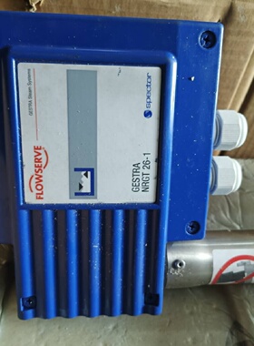 Gestra水位电极NRGT261传感器最高耐温2