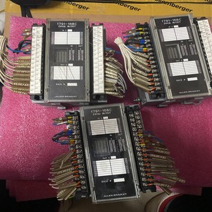 询价 AB罗克韦尔PLC 1791 16BC 成色如图