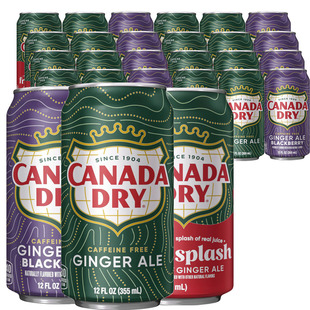 美国进口加拿大(CANADA DRY)姜汁汽水干姜水生姜水355ml*24罐