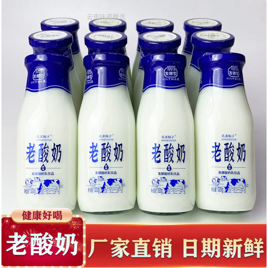 低脂老酸奶玻璃瓶整箱特价老牌子原味发酵乳酸菌奶学生营养早餐