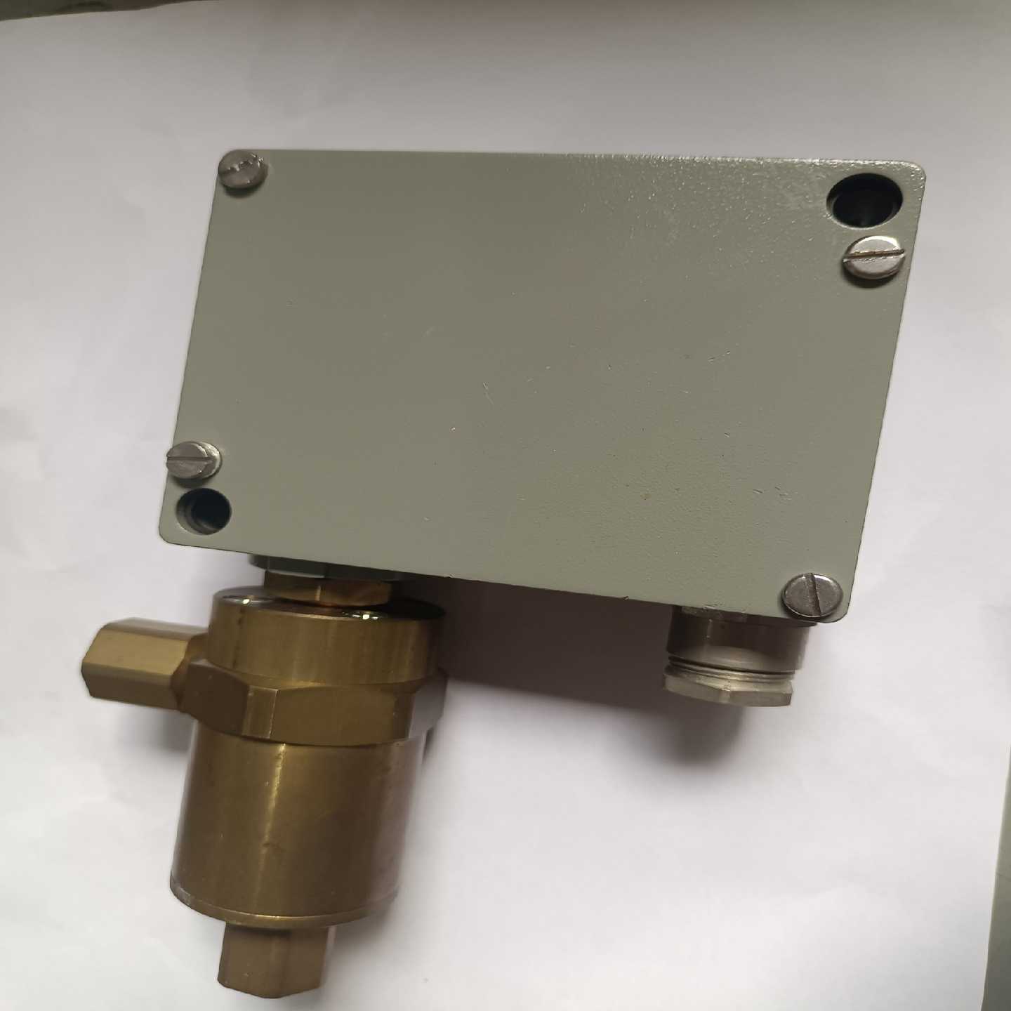 询价Trafag压力传感器Type:920.2377.937