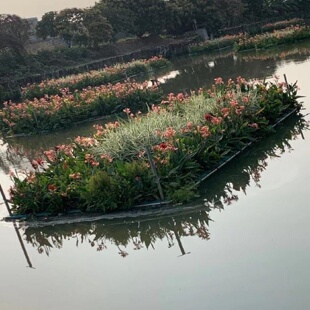 人工生态浮岛生态浮岛人工浮床水上种植生态浮床水上种菜净化水质