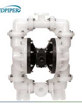 【议价】胜佰德DN50PP/PTFES20B3P2PPUS00适用