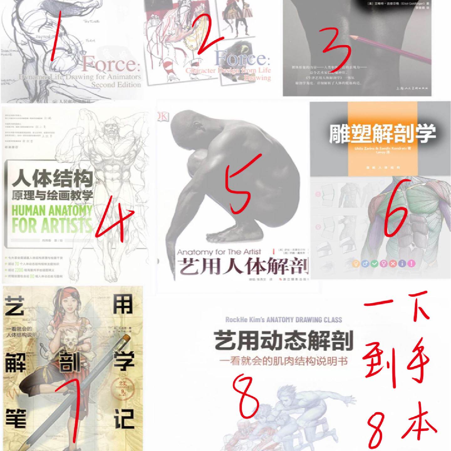 人体结构解剖动态速写绘画学习素材包电子版全面到手不用到处搜罗