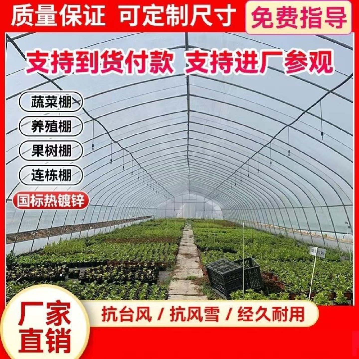 种植蔬菜大棚骨架大棚钢管骨架温室菌类花卉大棚养殖大棚养鸡鸭鹅