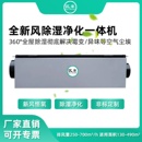 吊顶新风除湿机 新风净化除湿一体机家用别墅地下室双向流隐藏安装