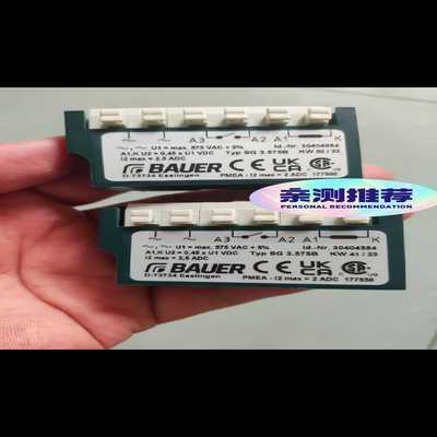 DanfossbauerBAU2577542hrich询价